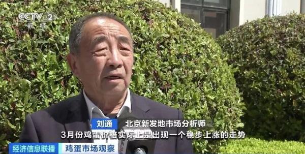 鸡蛋价格不“蛋”定？还会涨吗？