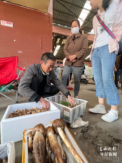 云南今日鸡价行情，云南今日蕉价行情涨了吗