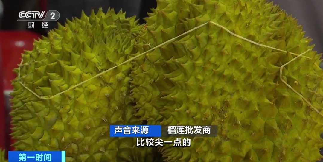 榴莲批发价格今日价格（榴莲批发5元一斤哪里有）