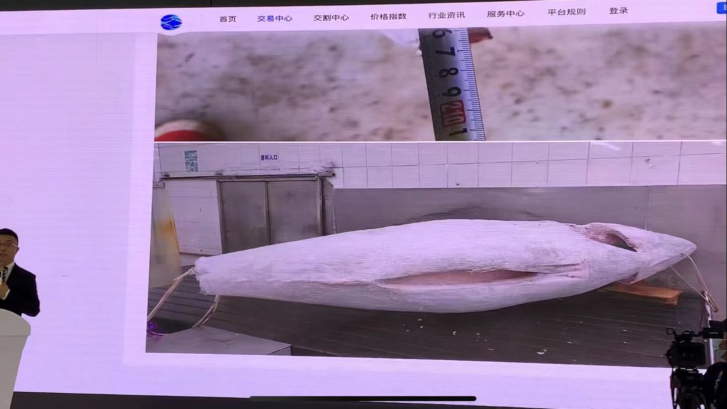 总价57324元！记者直击深圳国际金枪鱼交易中心“第一拍”