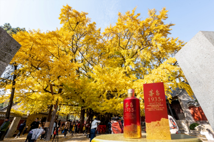 今日兰州市茅台价格「今日茅台市场行情价」