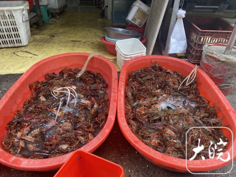 合肥龙虾价格近乎“腰斩” 部分批发价低至10元每斤