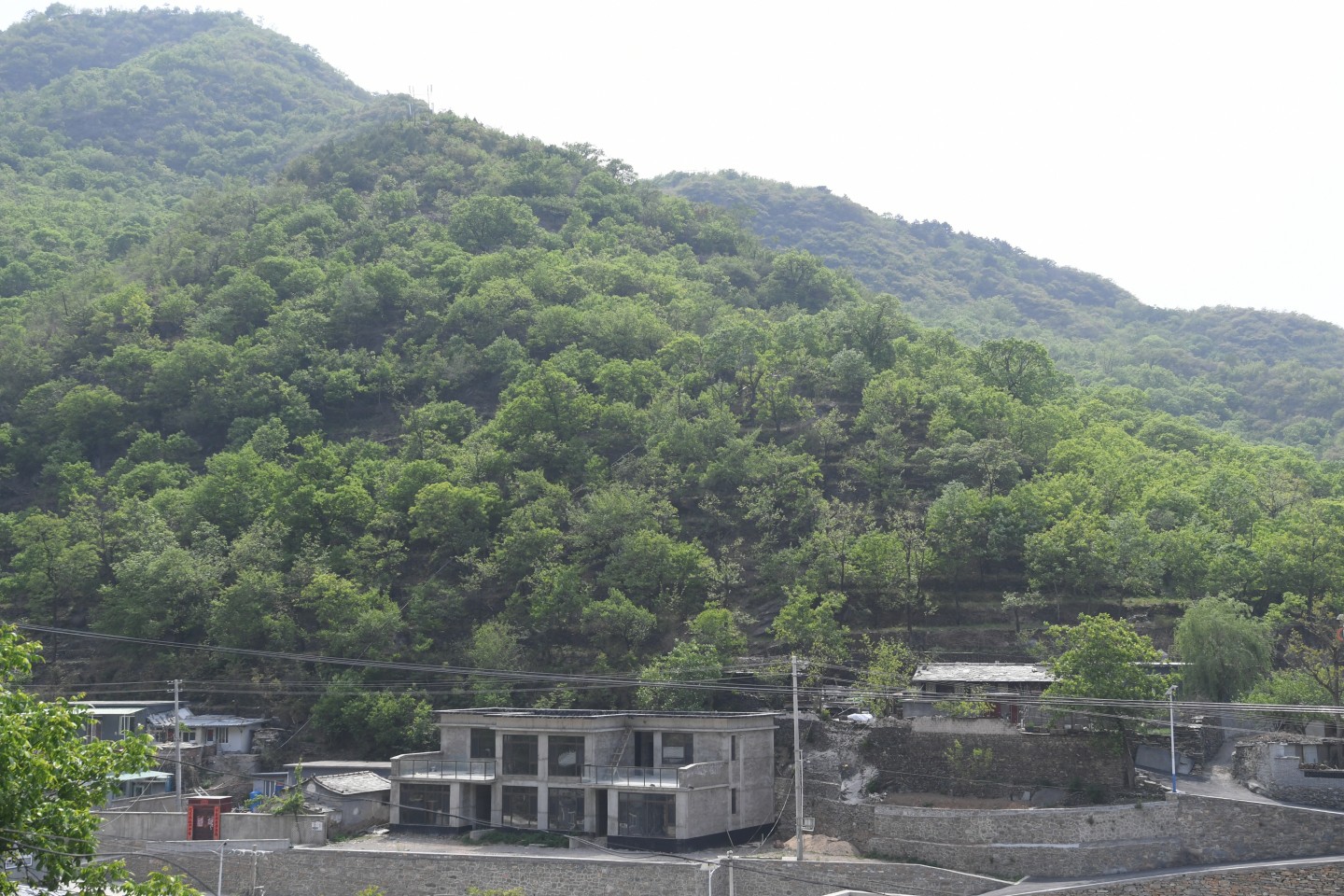 杨光的夏天2电视剧全集免费观看(良乡板栗去哪儿了：出走的年轻人，留不住的家乡味道)