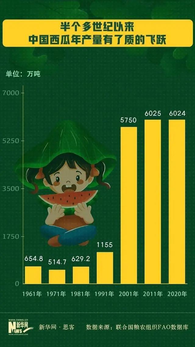 今日哈密瓜价格行情（嘉兴哈密瓜价格今日价）