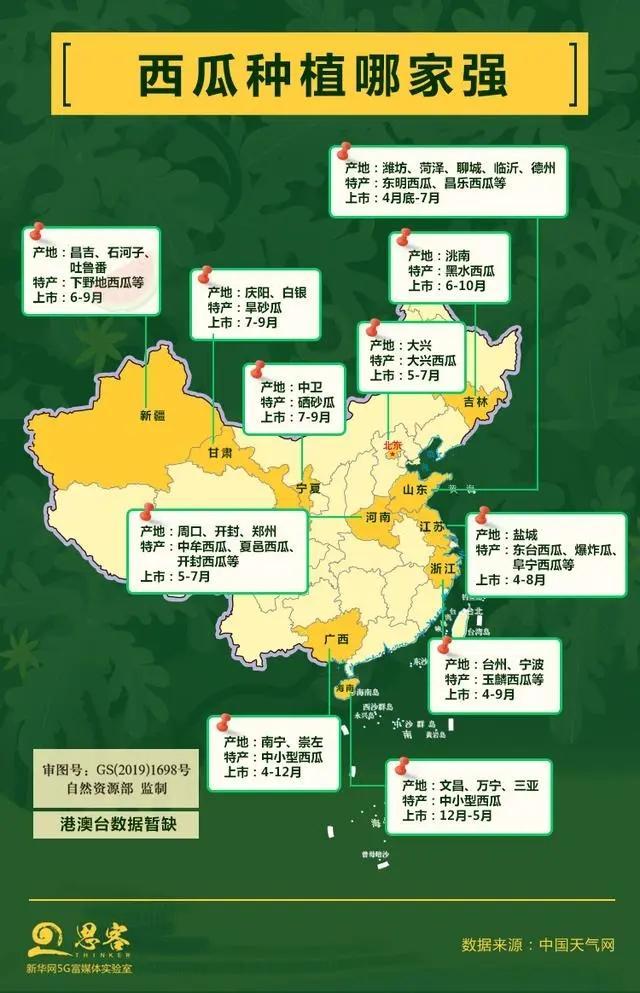 今日哈密瓜价格行情（嘉兴哈密瓜价格今日价）