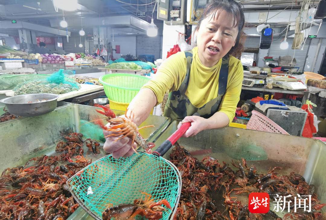 今日一两龙虾价格表（洪湖今日龙虾价格）