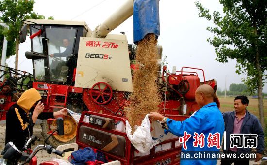 河南周口迎战“烂场雨” 确保粮食尽早抢收