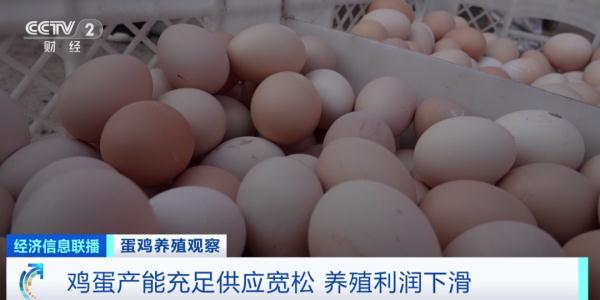 全国鸡蛋今日价格行情「中国鸡蛋信息网今日价格」