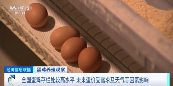全国鸡蛋今日价格行情「中国鸡蛋信息网今日价格」