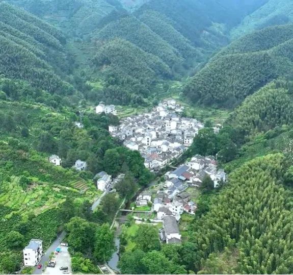 【黄山市域边界行】新安源头绘新景