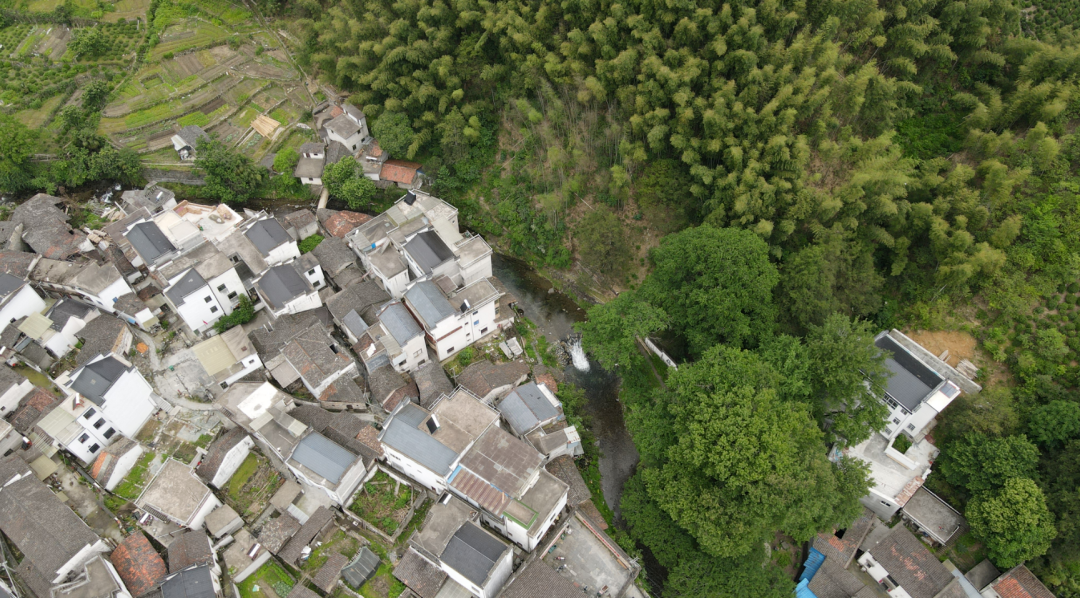 【黄山市域边界行】新安源头绘新景
