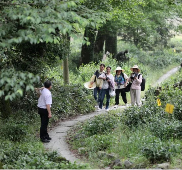 【黄山市域边界行】新安源头绘新景