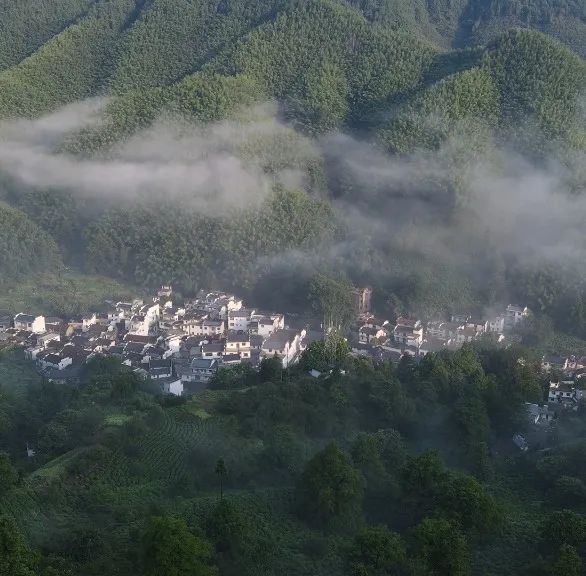 【黄山市域边界行】新安源头绘新景