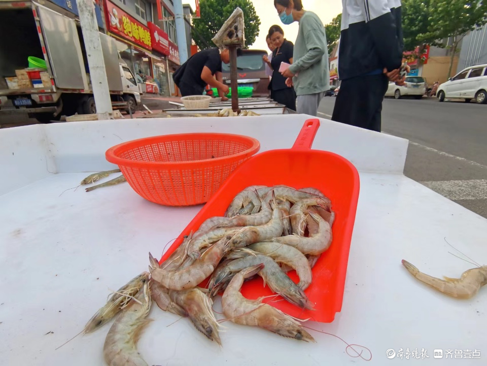 周末海边之旅