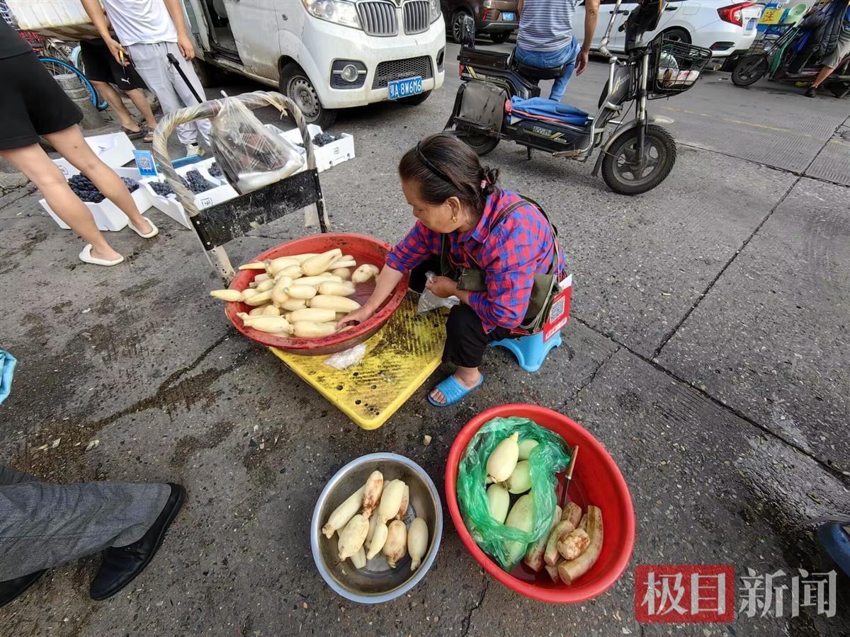 白沙洲今日莲藕价格行情「莲藕价格今日价」