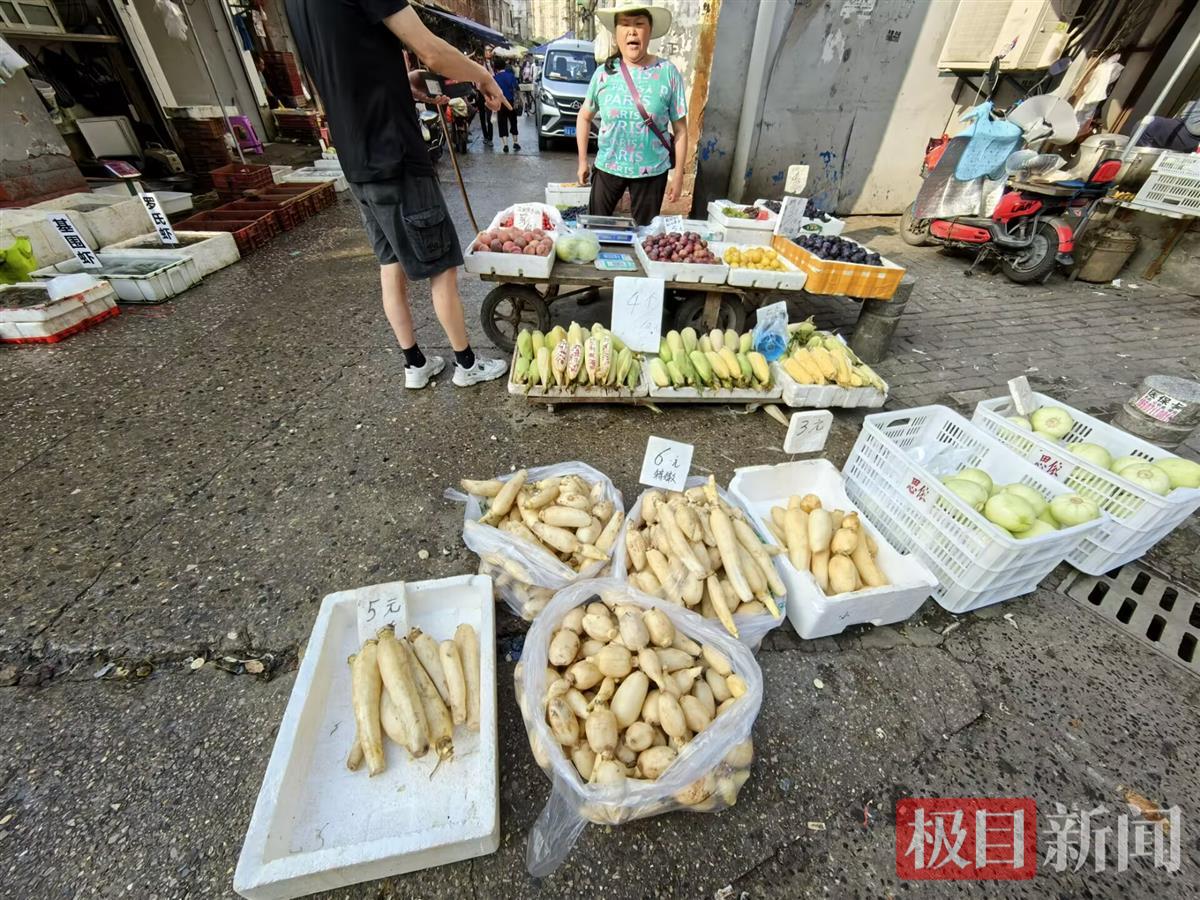 白沙洲今日莲藕价格行情「莲藕价格今日价」