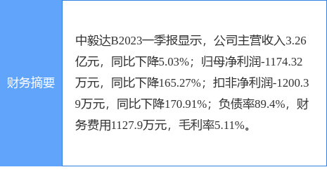 中毅达b股股票今日价格（中毅达股票股吧）