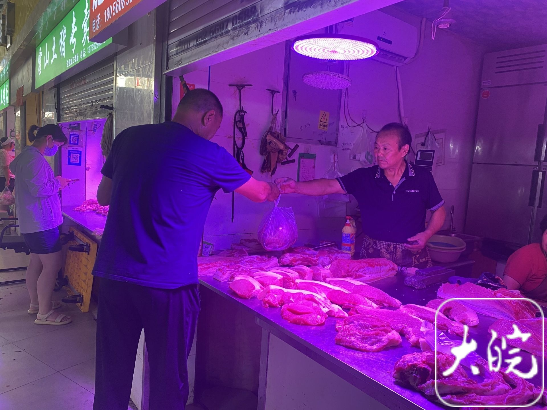 卖一头猪要亏400元！猪肉价格持续低位运行