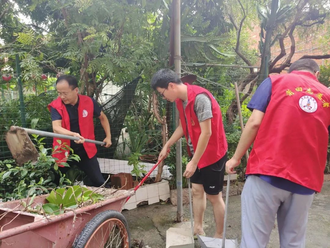 快速按下“复原键”！这就是莆田力量！