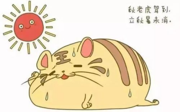 一吹空调就有怪味,甚至引发鼻炎?!怎么回事?