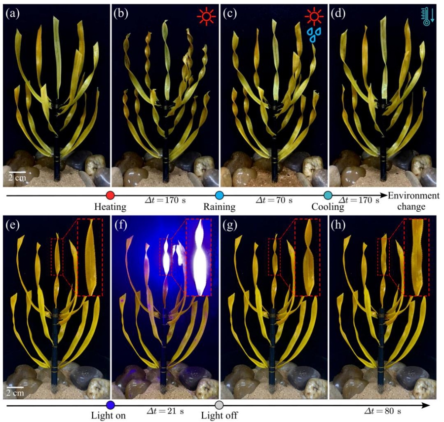仿造植物的具身智能，复旦最新成果刊于《自然·计算科学》