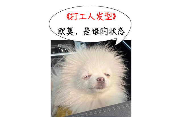 洗头自然干和吹干哪个好？大部分人都做错了！