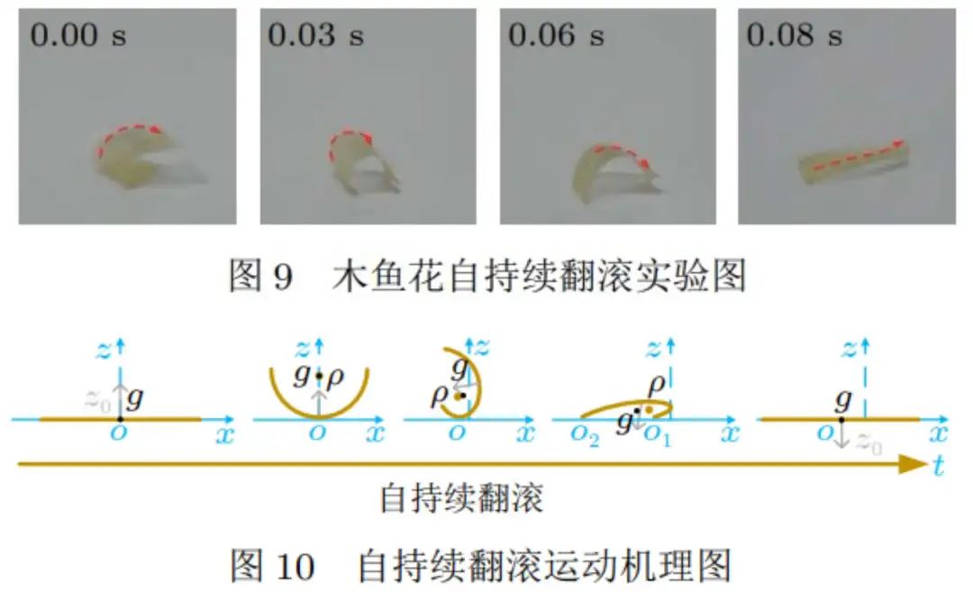章鱼小丸子上的“木屑”，到底是什么？