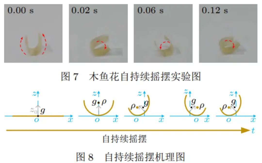 章鱼小丸子上的“木屑”，到底是什么？