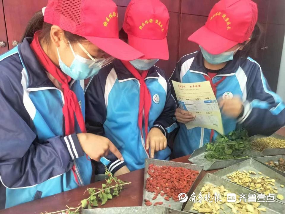峄城区峨山镇中心卫生院开展小学生中医药文化体验活动