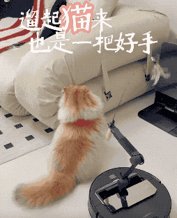 问世29年，扫地机器人终于长出了手臂（龟速版）