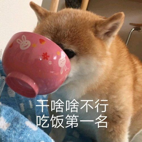 无知鱼yy