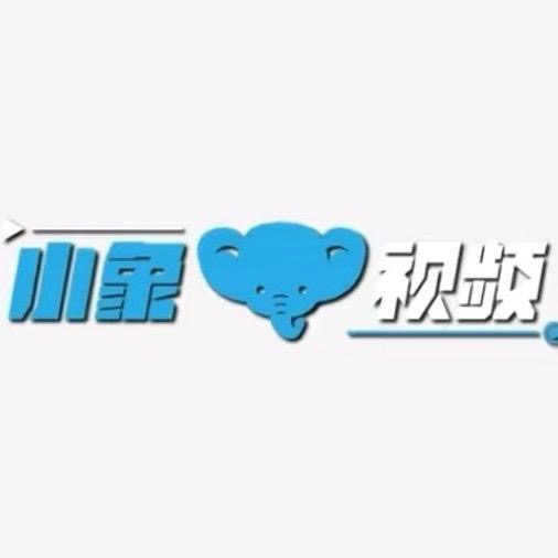 象视频ID