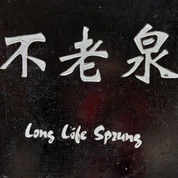 智者一凡一
