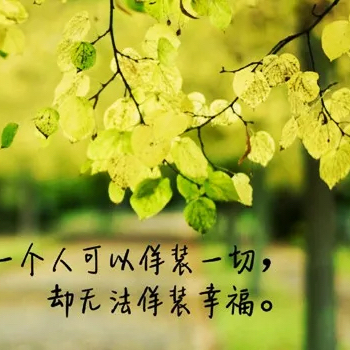 老徐Mr