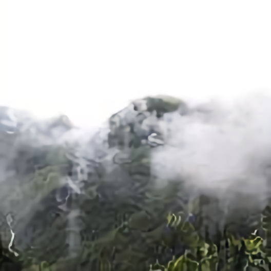 建筑工程老炮儿