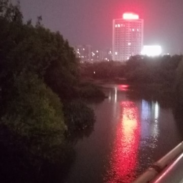 南风333333