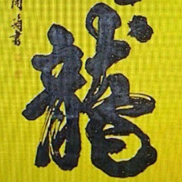 雁飞ivAe