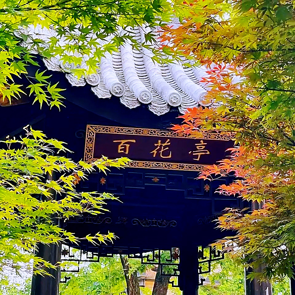 百花亭杂谈