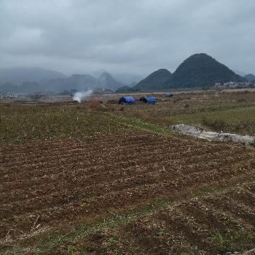 致富种植公司董事长_种植致富经_致富种植什么比较赚大钱