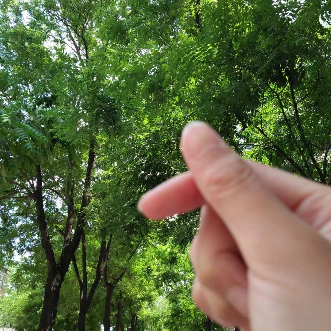 兄弟别丧，风雨过后见彩虹，我陪你共度难关