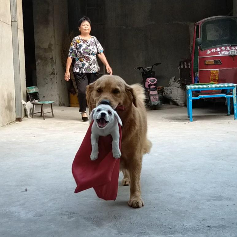 我是赵姐