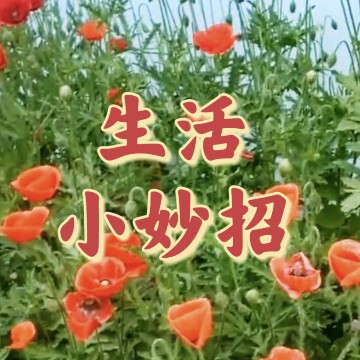 桐桐妙招