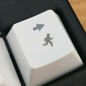 电驴上的小明