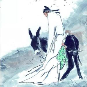 半生沉浮allen