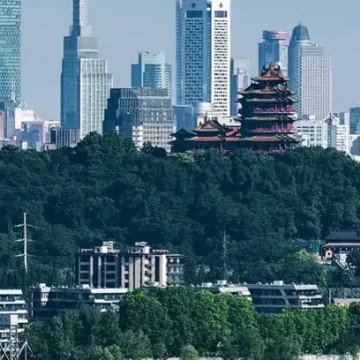 南缘北者
