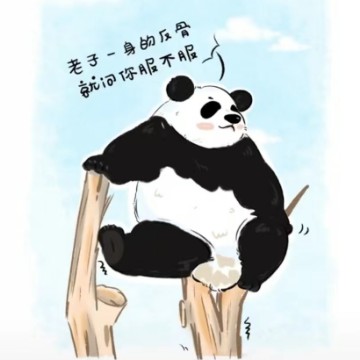 潇洒探谈