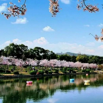万象纵横