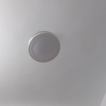 本人叫陈玉枪