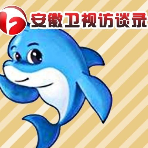 安徽卫视访谈录