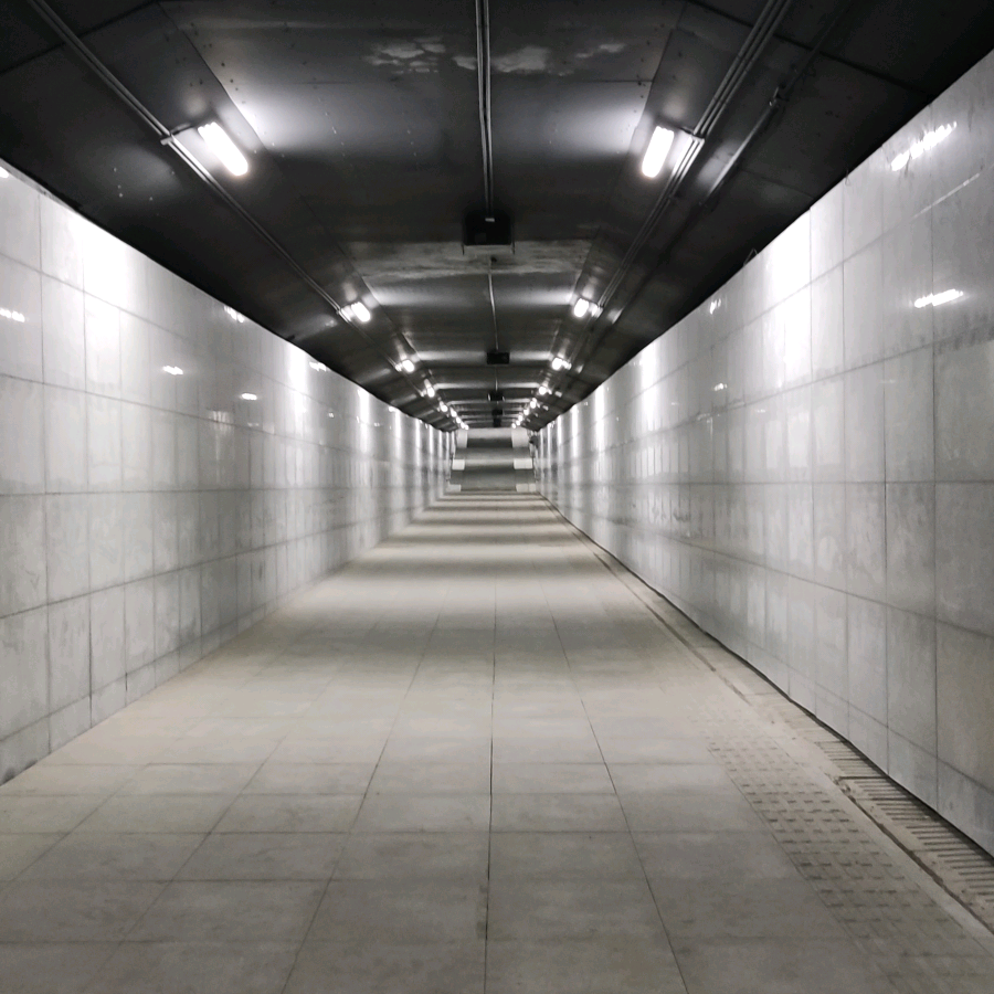 i527